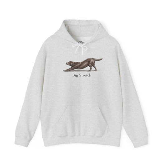 Big Stretch Chocolate Labrador Retriever - Hoodie