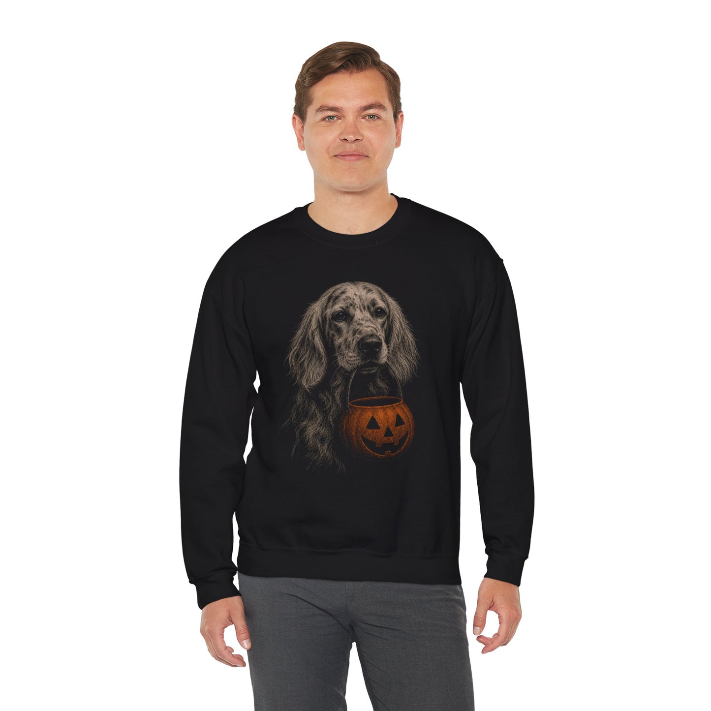English Setter Halloween Sweatshirt – Boop or Treat