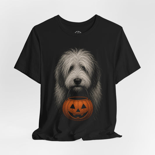 Old English Sheepdog Halloween T-Shirt – Boop or Treat