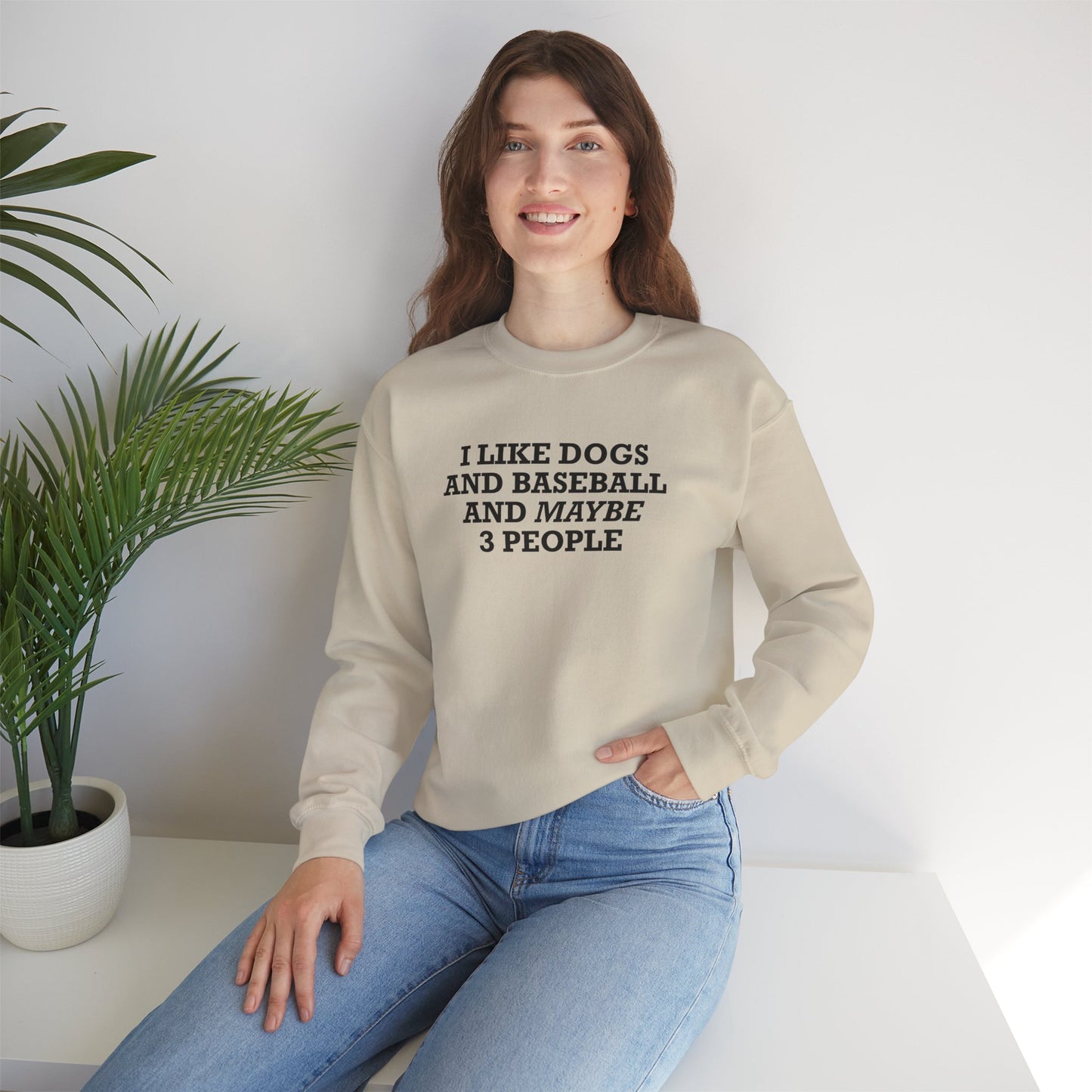 I Like Dogs and Baseball and Maybe 3 People Sweatshirt – Funny Baseball Dog Lover Shirt for Introvert