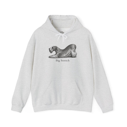 Big Stretch Cesky Terrier - Hoodie