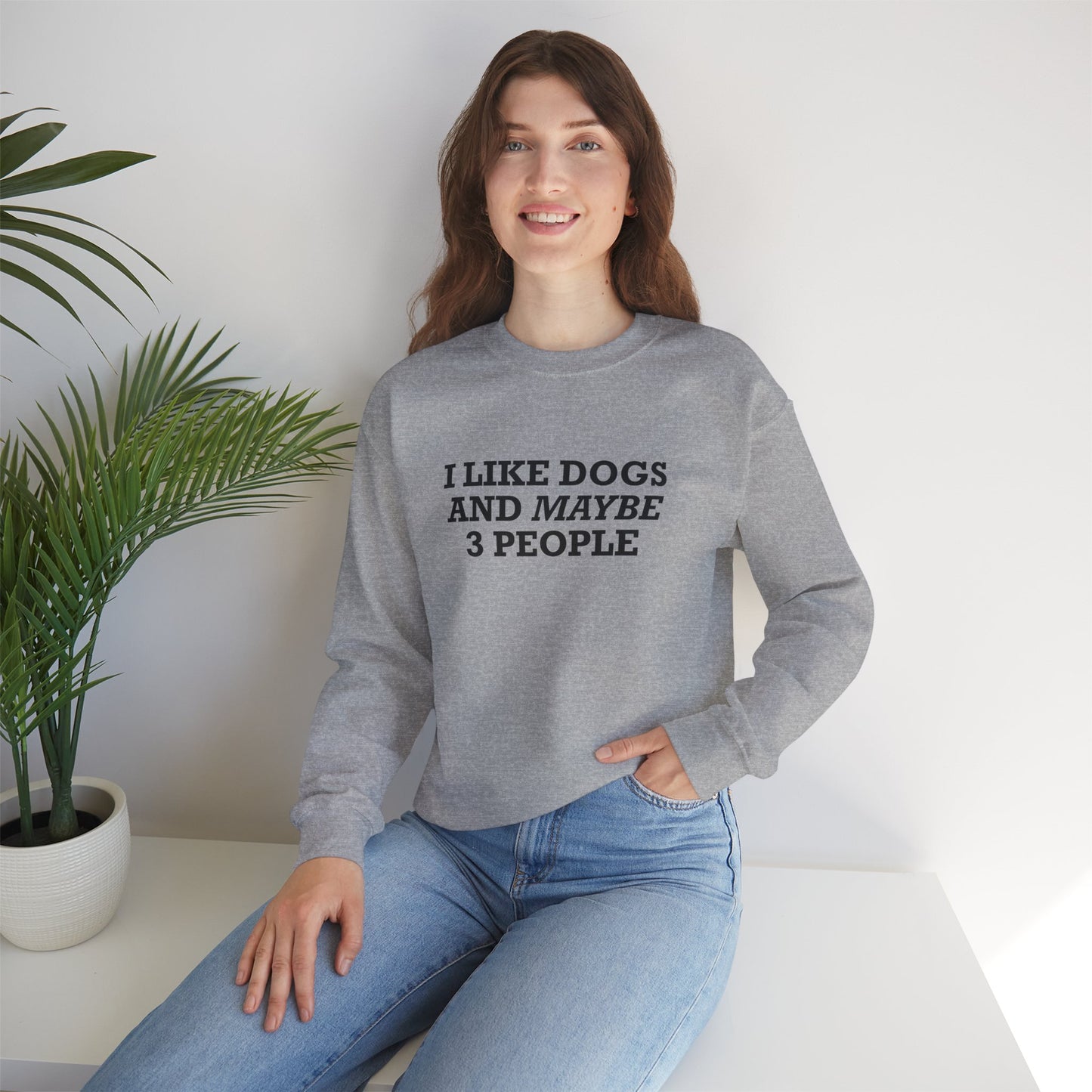 I Like Dogs and Maybe 3 People Sweatshirt – Funny Dog Lover Introvert Shirt for Dog People