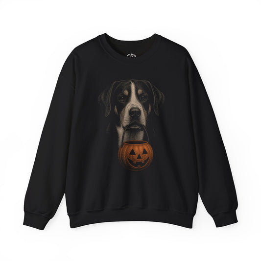 Greater Swiss Mountain Dog Halloween Sweatshirt – Boop or Treat