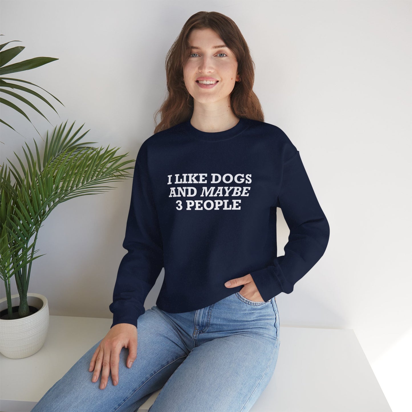 I Like Dogs and Maybe 3 People Sweatshirt – Funny Dog Lover Introvert Shirt for Dog People