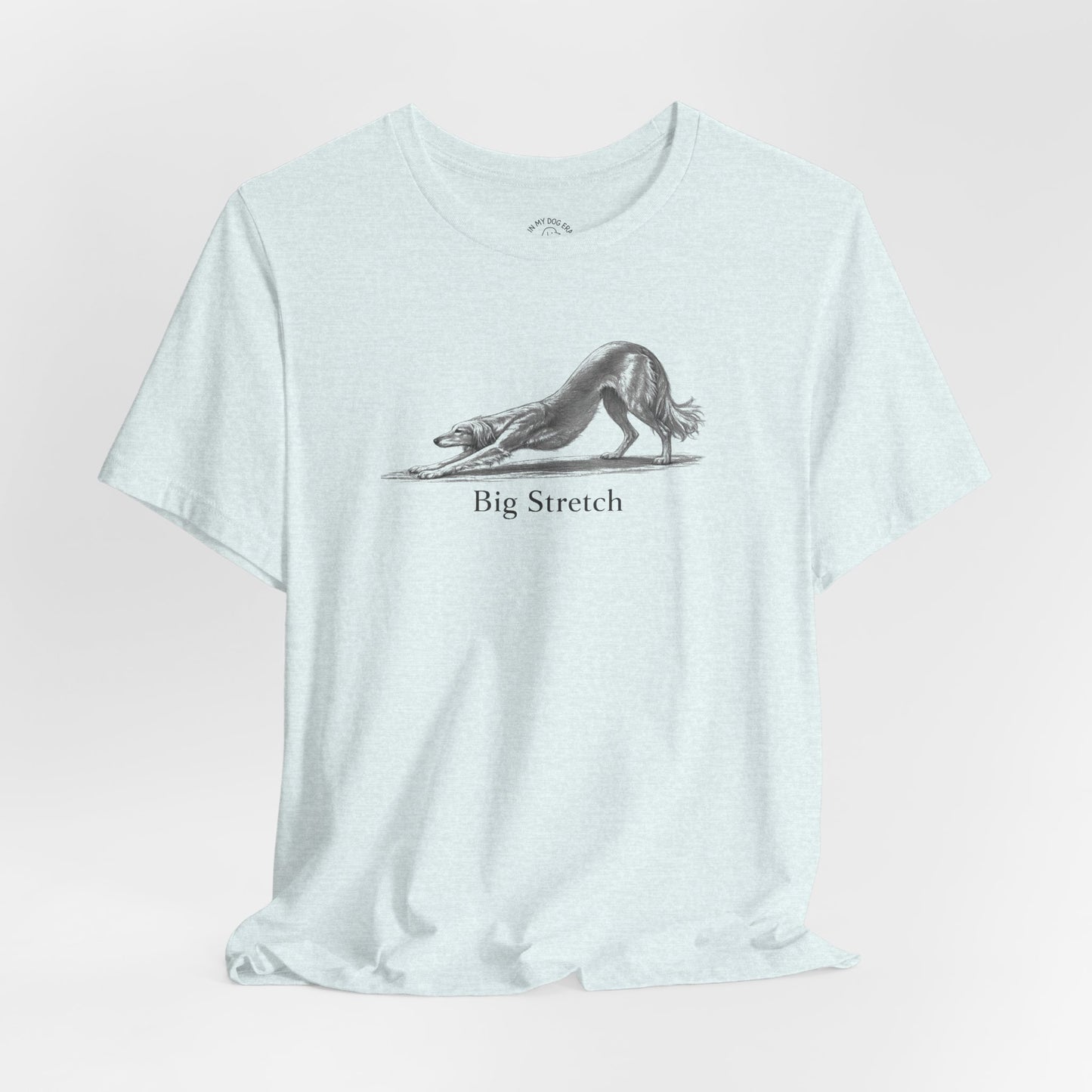Big Stretch Saluki T-Shirt