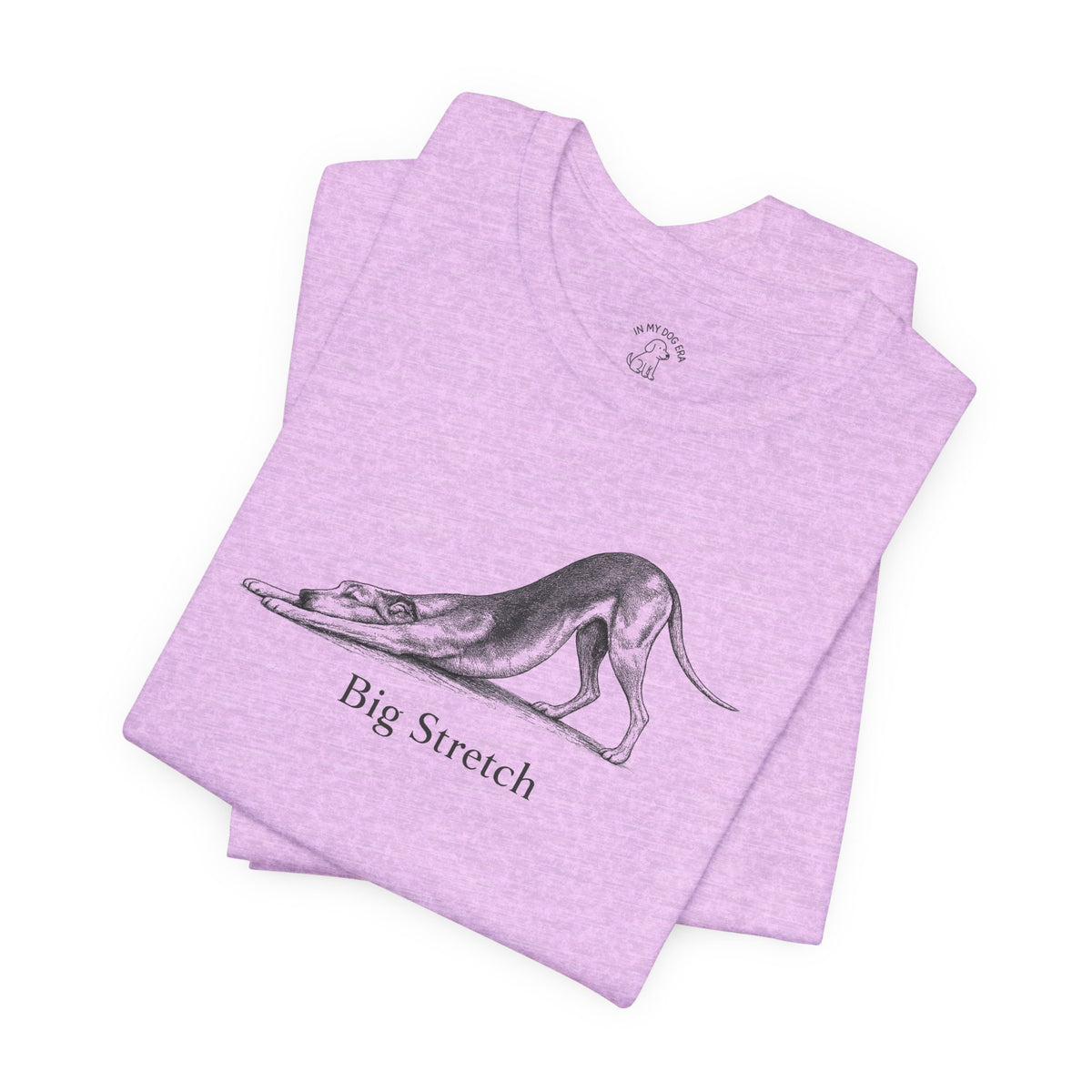 Big Stretch Greyhound T-Shirt