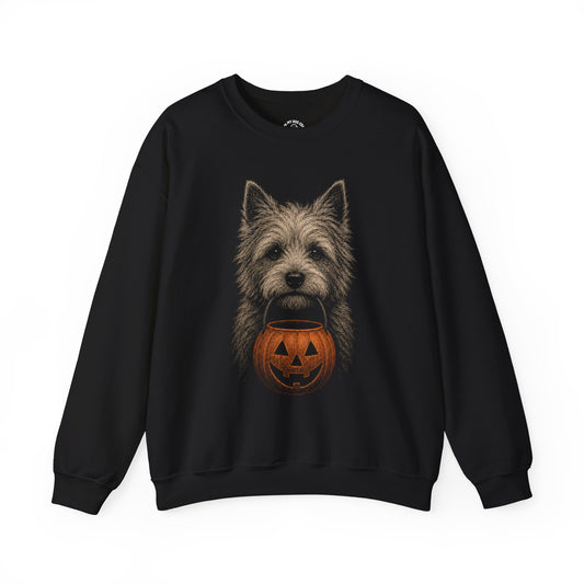 Norwich Terrier Halloween Sweatshirt – Boop or Treat