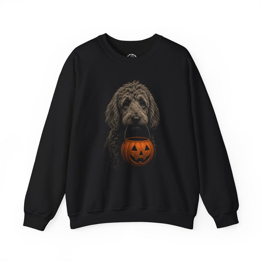 Goldendoodle Halloween Sweatshirt – Boop or Treat
