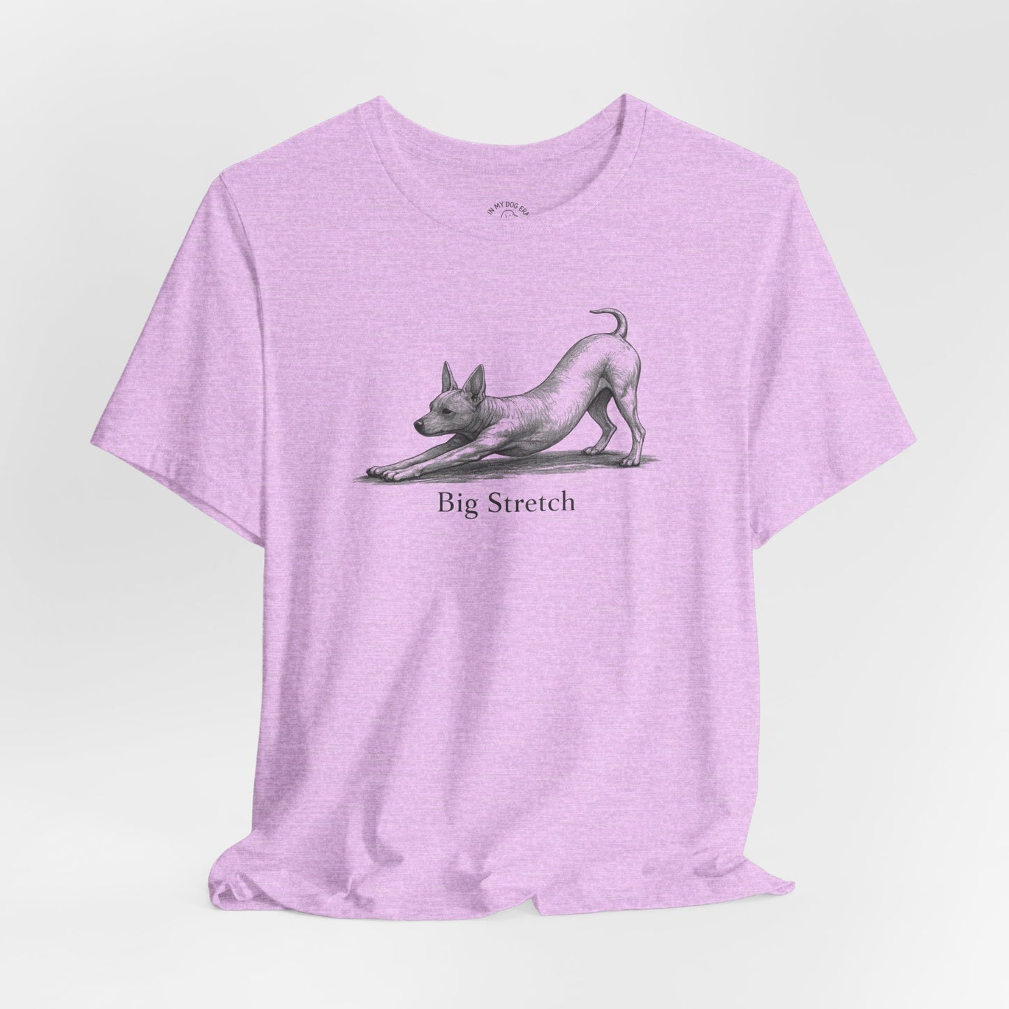 Big Stretch American Hairless Terrier T-Shirt