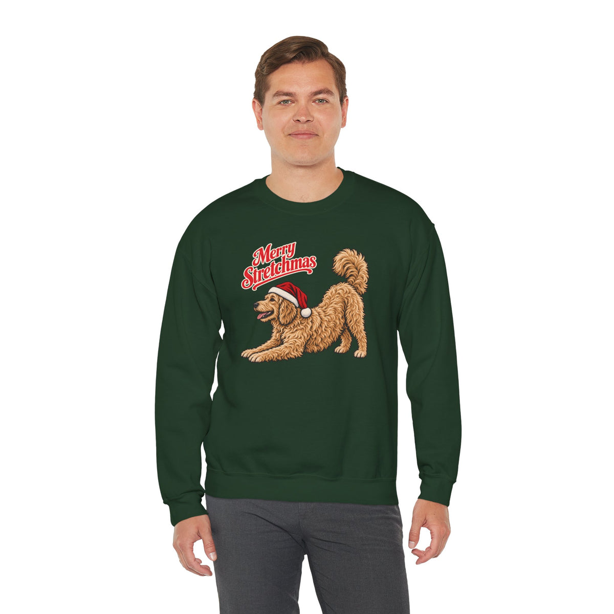 Goldendoodle Christmas Sweatshirt | Merry Stretchmas