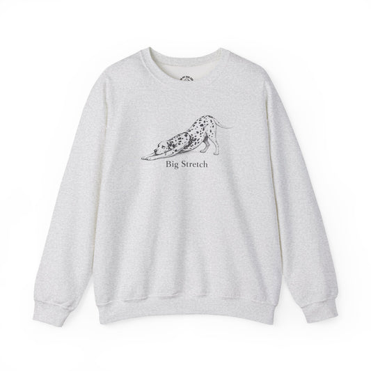 Big Stretch Dalmatian Sweatshirt