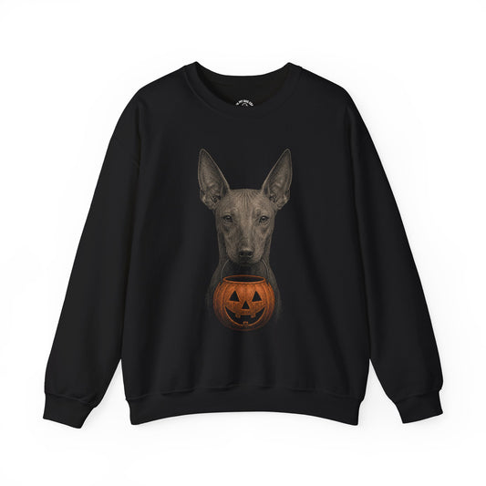 Xoloitzcuintli Halloween Sweatshirt – Boop or Treat