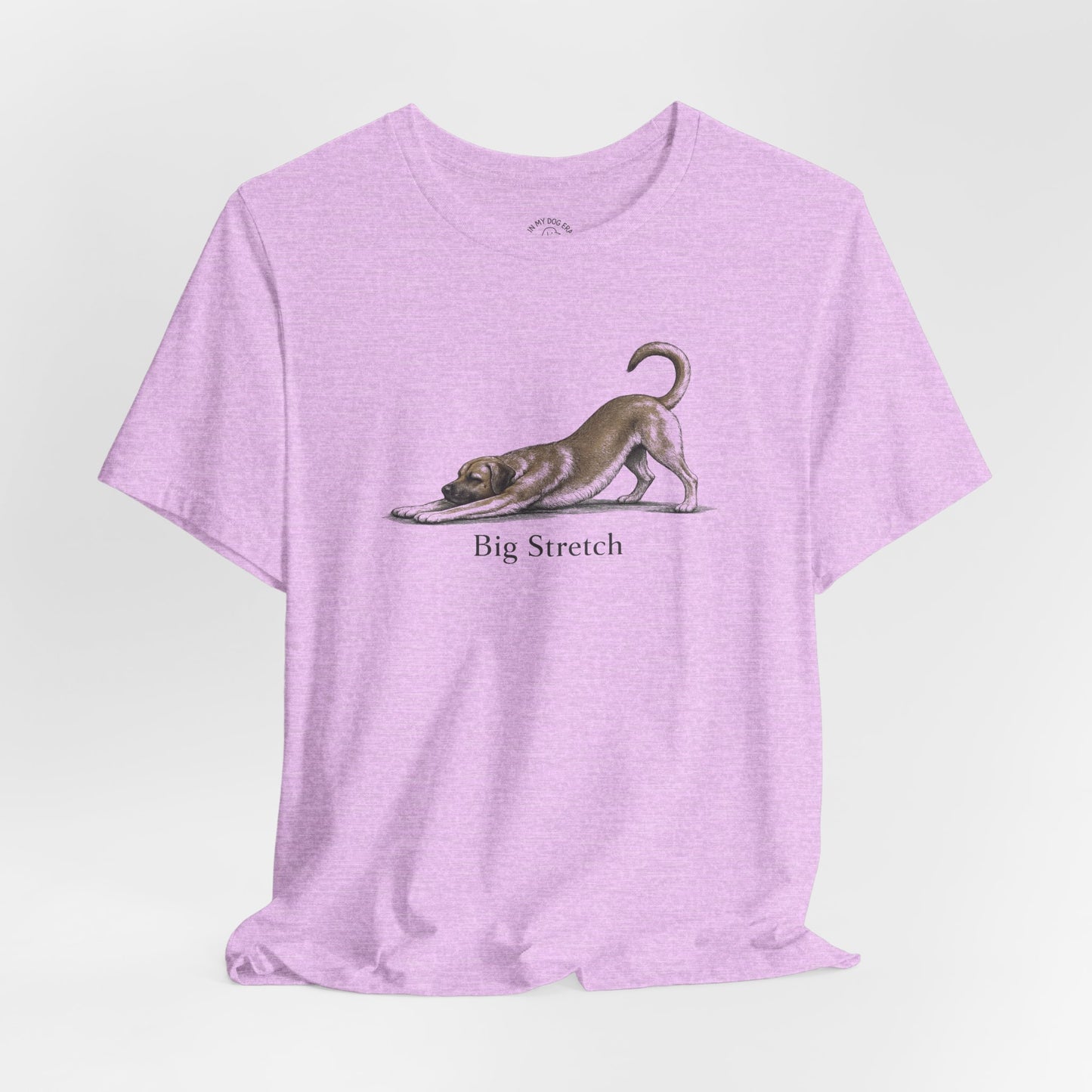 Big Stretch Black Mouth Cur T-Shirt