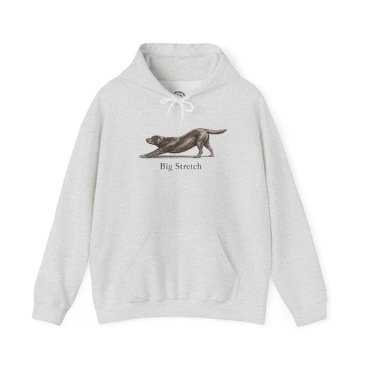 Big Stretch Chocolate Labrador Retriever - Hoodie