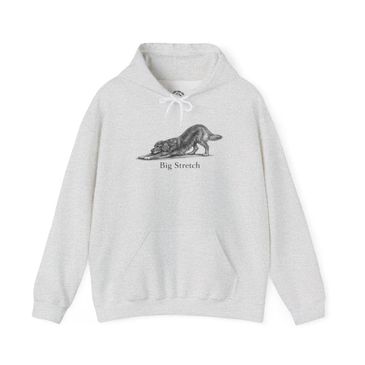 Big Stretch Irish Setter - Hoodie