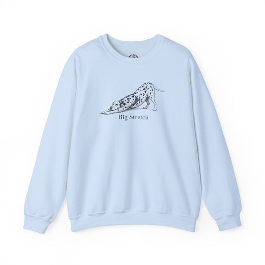 Big Stretch Dalmatian Sweatshirt