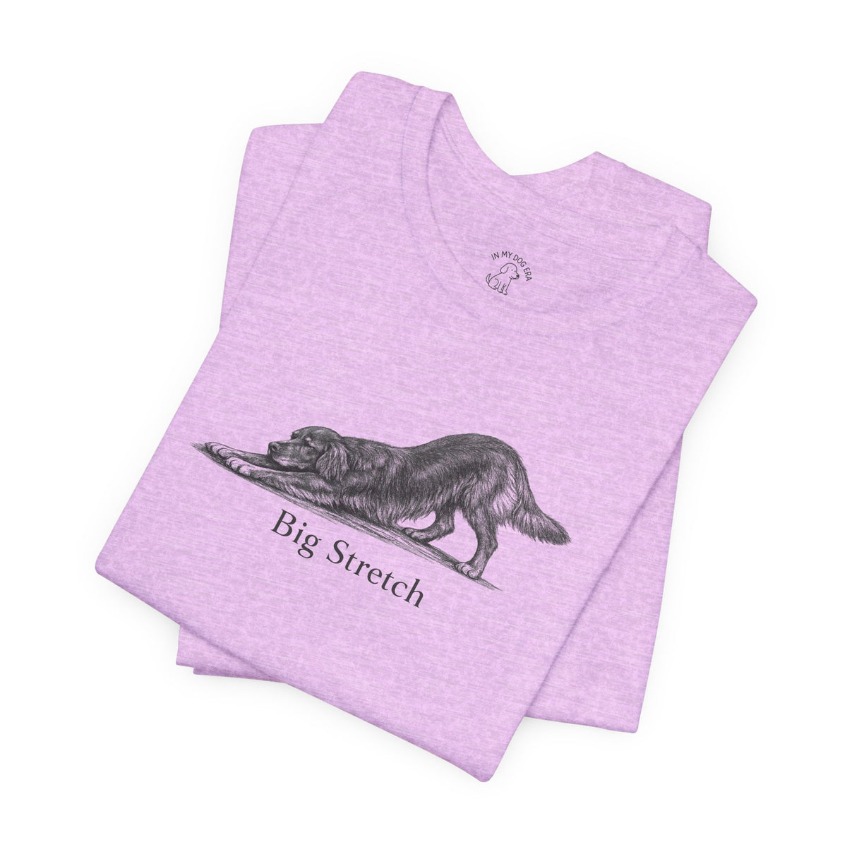 Big Stretch Irish Setter T-Shirt