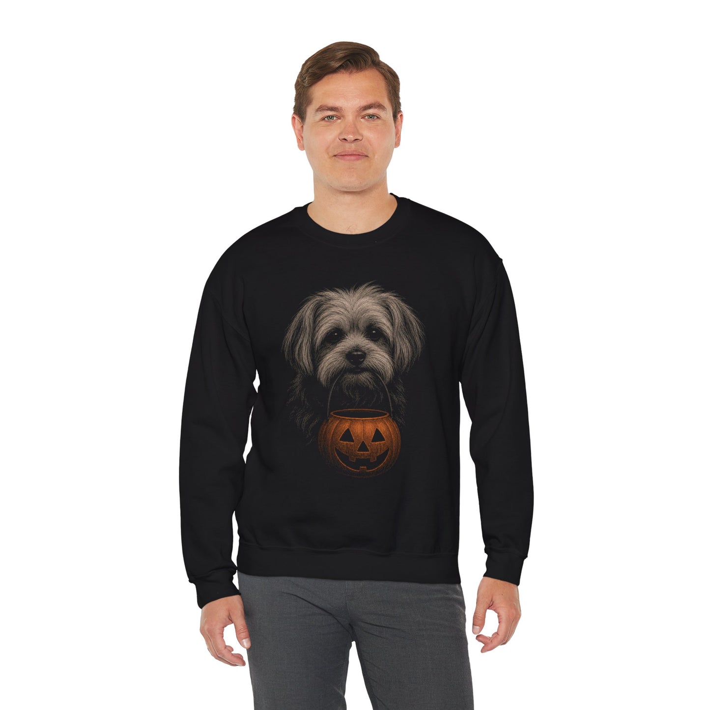 Morkie Halloween Sweatshirt – Boop or Treat