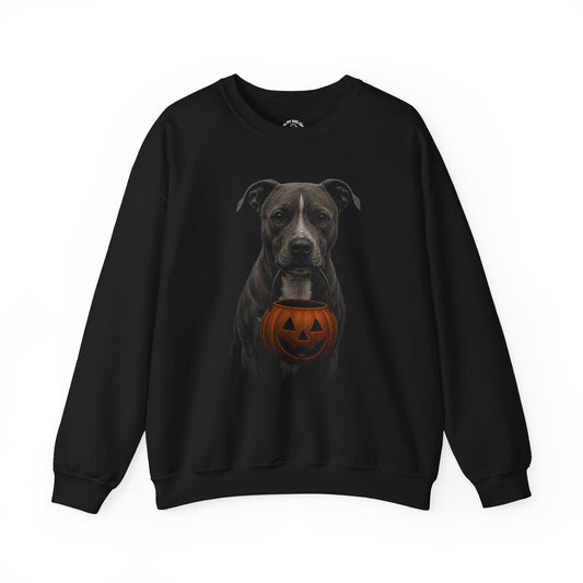 Pit Bull Halloween Sweatshirt – Boop or Treat