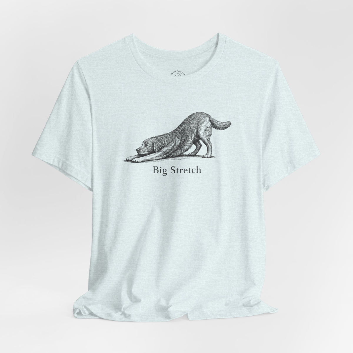 Big Stretch Chesapeake Bay Retriever T-Shirt