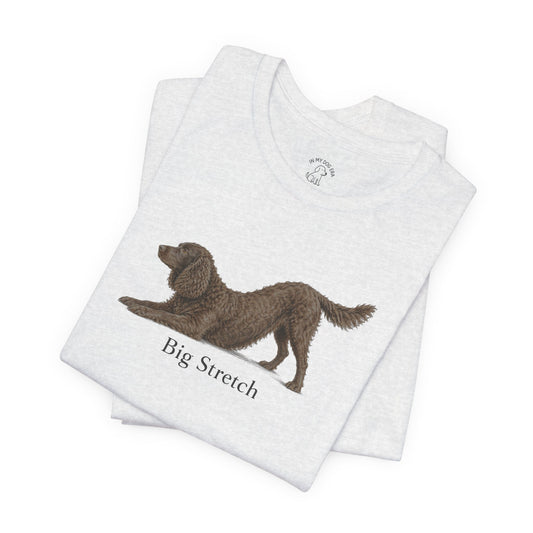 Big Stretch American Water Spaniel T-Shirt