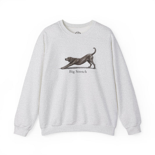 Big Stretch Redbone Coonhound Sweatshirt