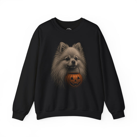 Pomeranian Halloween Sweatshirt – Boop or Treat