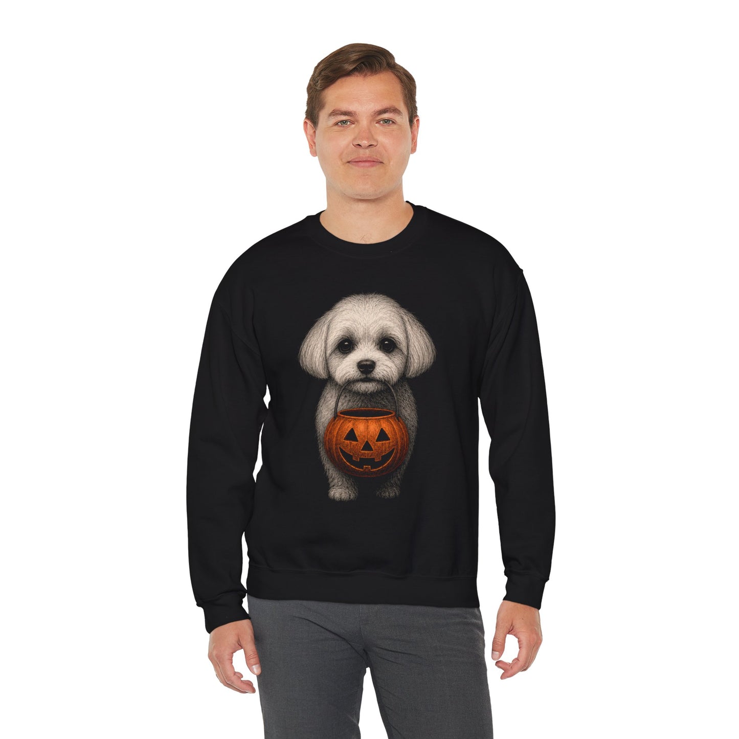 Maltese Halloween Sweatshirt – Boop or Treat