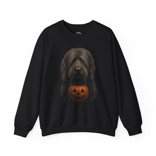 Briard Halloween Sweatshirt – Boop or Treat