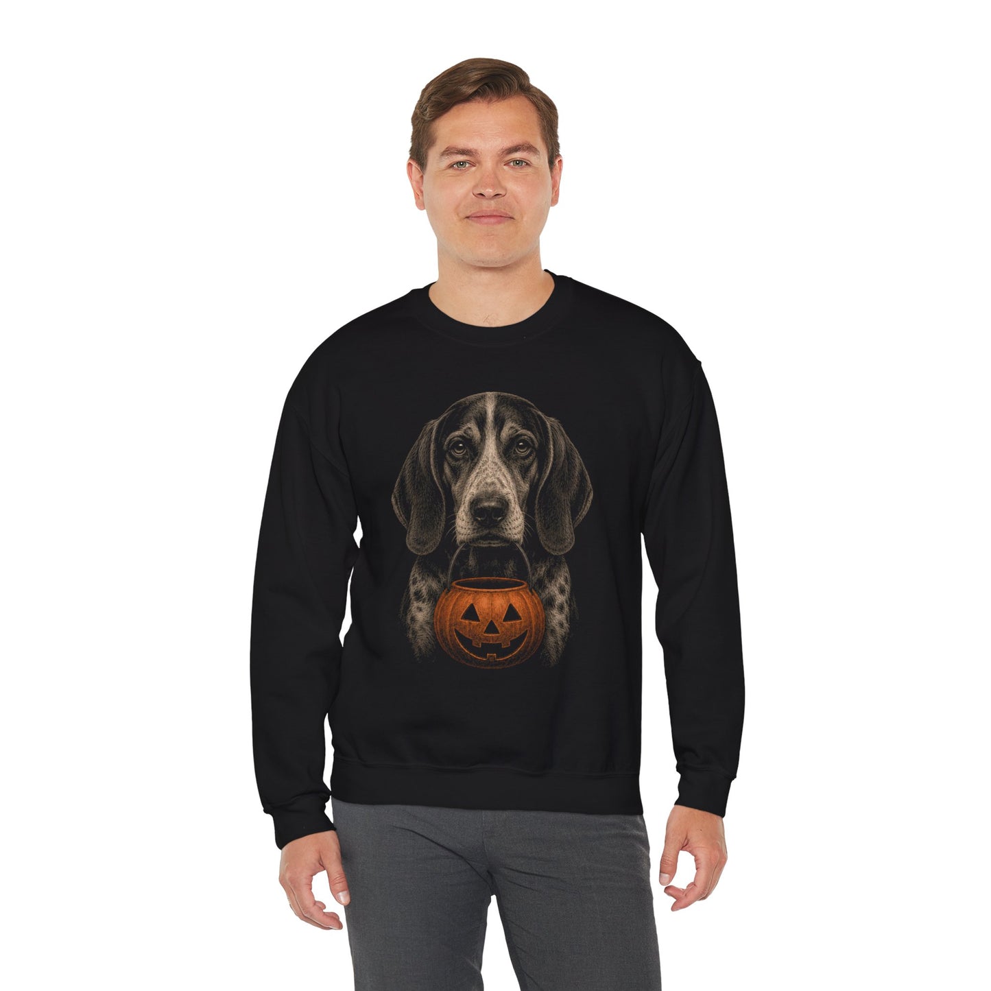 American English Coonhound Halloween Sweatshirt – Boop or Treat