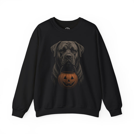 Presa Canario Halloween Sweatshirt – Boop or Treat