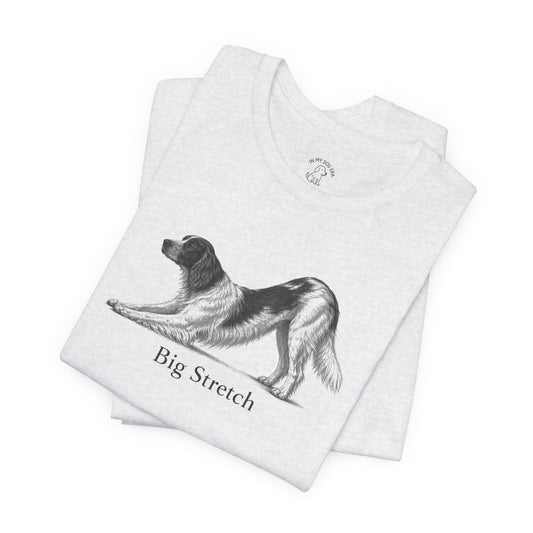 Big Stretch Irish Red and White Setter T-Shirt