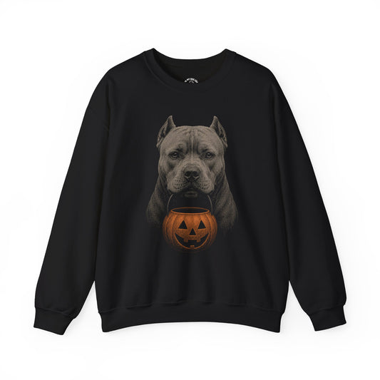 American Bully Halloween Sweatshirt – Boop or Treat