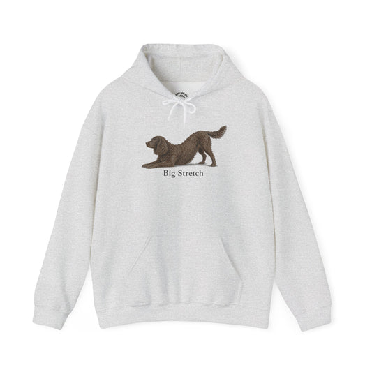 Big Stretch American Water Spaniel - Hoodie
