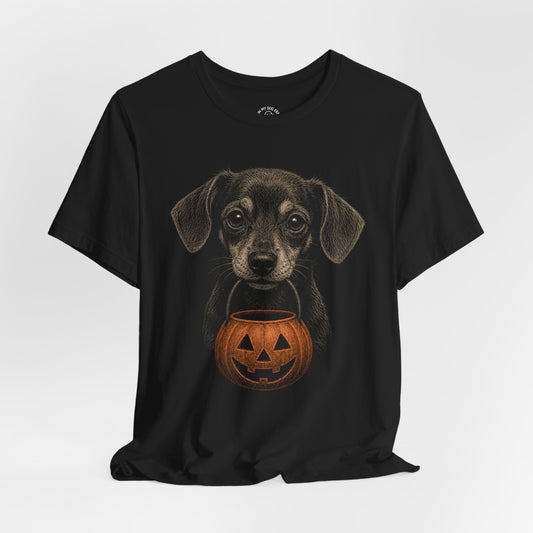 Chiweenie Halloween T-Shirt – Boop or Treat